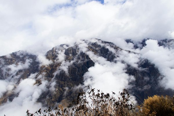 Culinaire écotouristique : se régaler tout en respectant la planète
